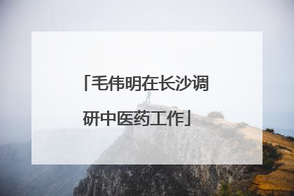 毛伟明在长沙调研中医药工作